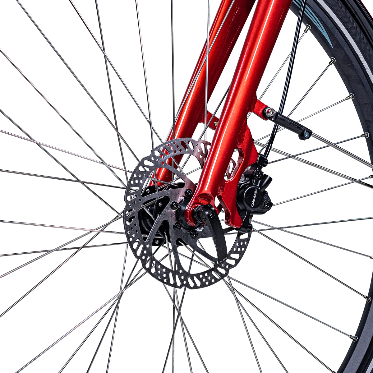 EvoBike Sport-8, Naisten