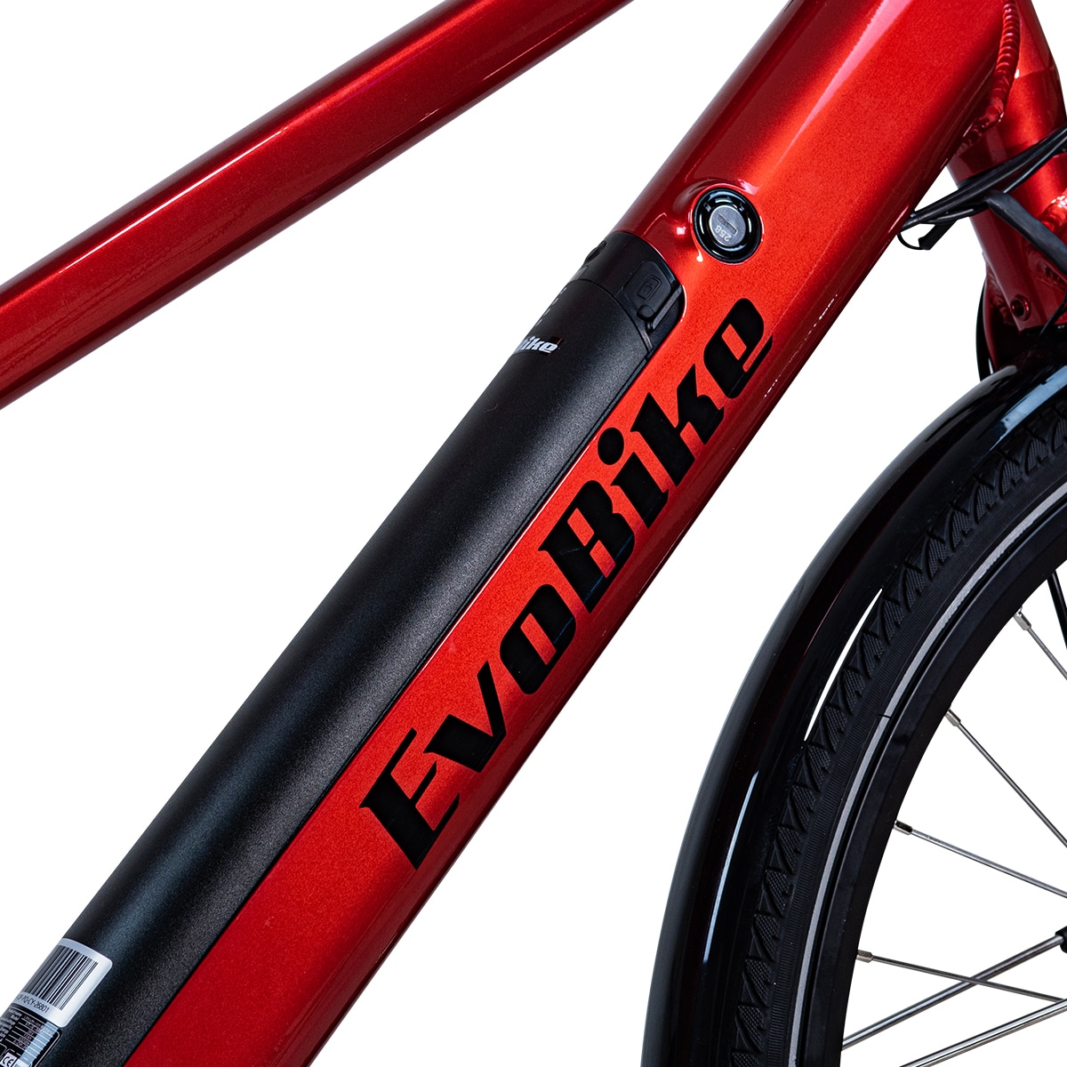 EvoBike Sport-8, Naisten